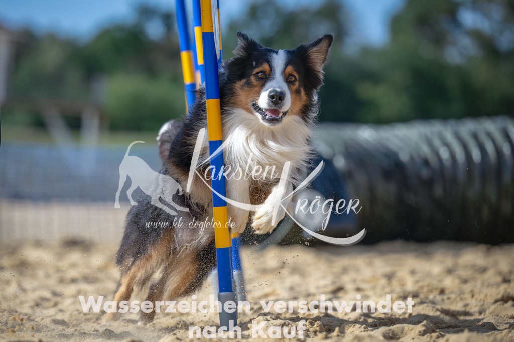 1432_ZZ91533-Bearbeitet | kk-dogfotos