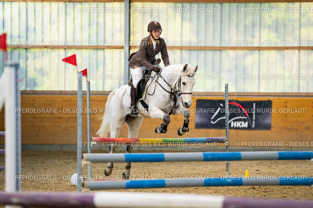 DSC00665 | Pferdegrafie