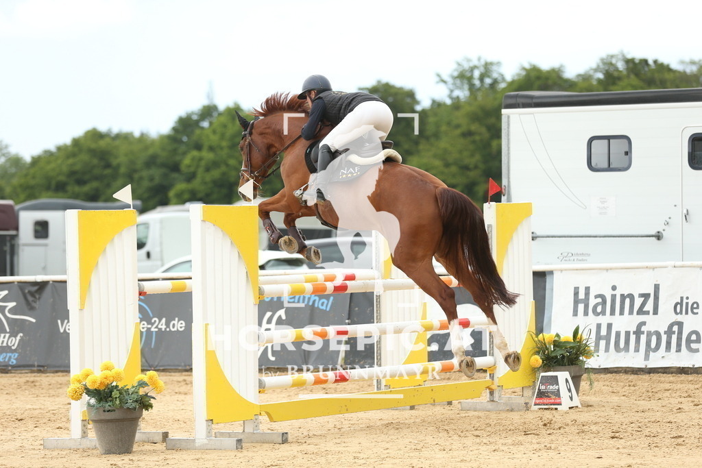 DL2Q2102 | Willkommen bei Brunnmayr - Design & Fotografie – Ihrem Spezialisten für Reitturniere und Pferdeveranstaltungen in Oberösterreich, Salzburg und Bayern! Seit über 17 Jahren sind wir leidenschaftlich dabei.