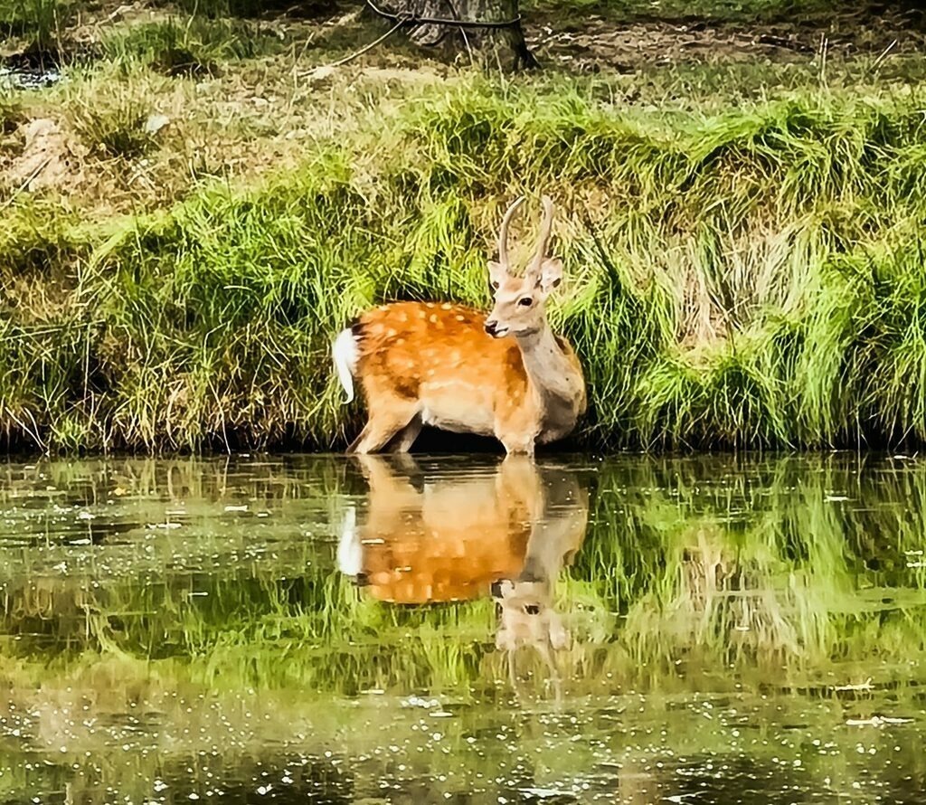 PSX_20220815_234922 | mtkfoto_ - Realisiert mit Pictrs.com