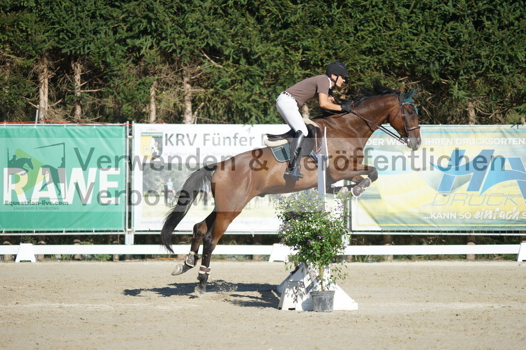 DSC01313 | equestrian-live-com