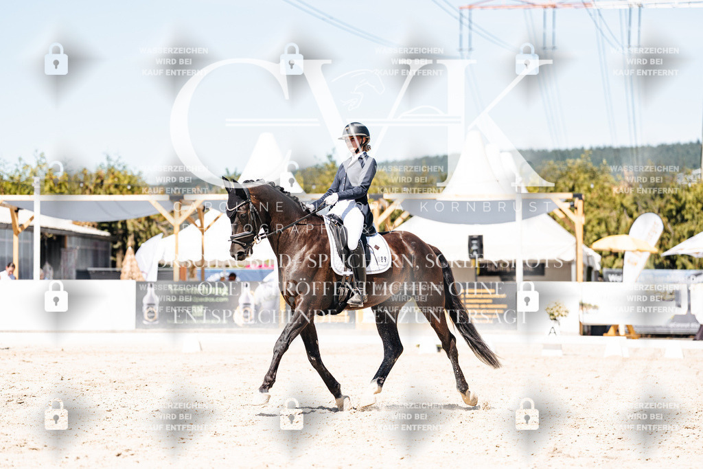 CK900235 | Turnierfotografie Pferdefotografie Trier Rheinland-Pfalz Pferdesport Reitsport Tierfotografie Sportfotografie Pferdevideo Pferdevideografie Equestrianvideography equestrianphotography  - Realisiert mit Pictrs.com