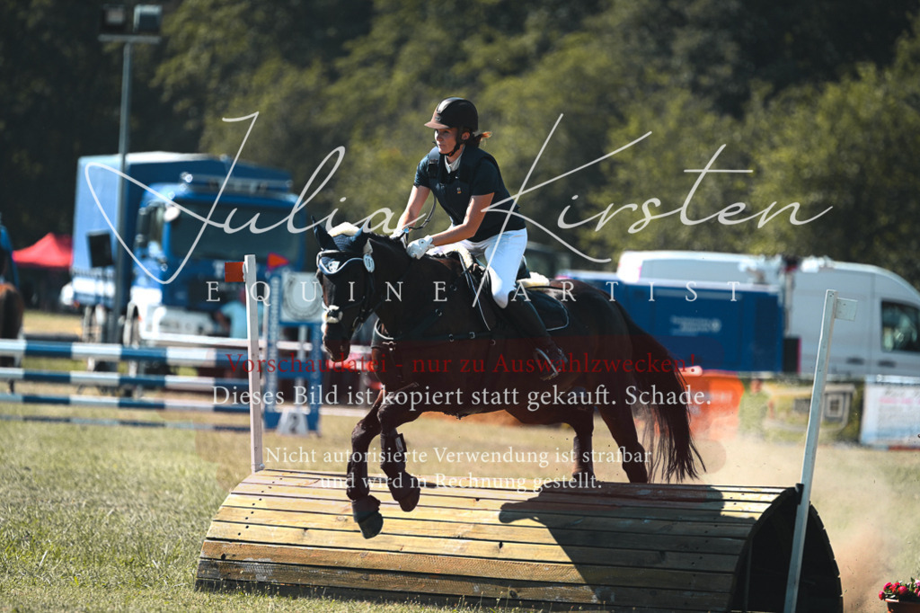 DSC_8037 | Pferde- und Turnierfotografie in Westsachsen. Pferdeportraits, Auftragszeichnungen und intuitive Kunst.