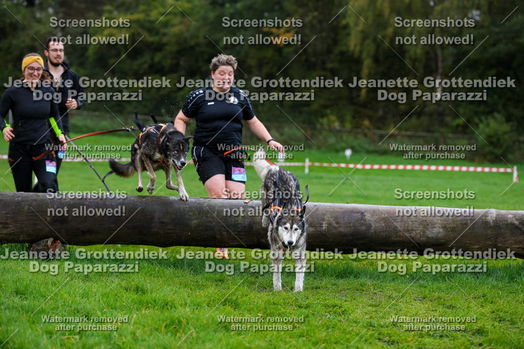 Dog Paparazzi -  SD1026-1384 | Dog Paparazzi Jeanette Grottendiek Fotografie & Videografie - Realisiert mit Pictrs.com
