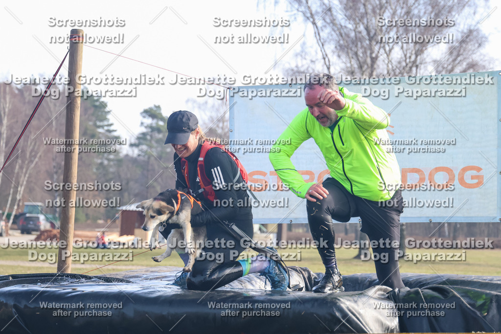 Dog Paparazzi - Strongdog North Mrz26-574 | Dog Paparazzi Jeanette Grottendiek Fotografie & Videografie - Realisiert mit Pictrs.com