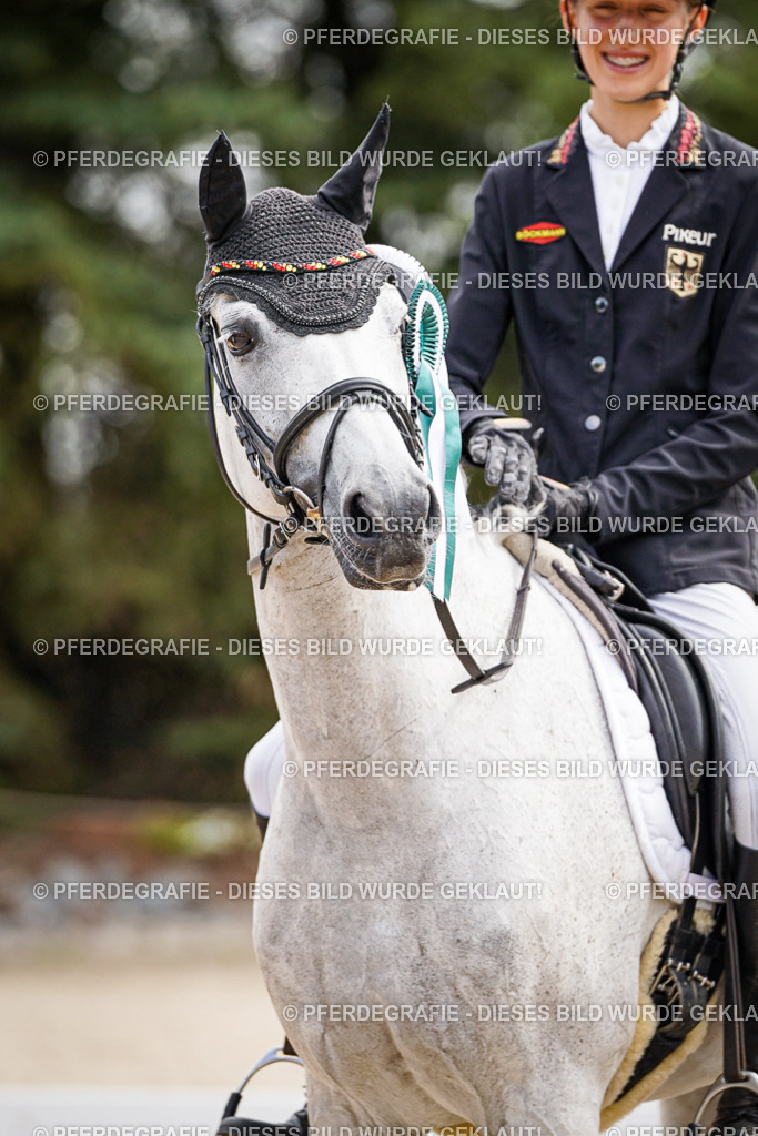 DSC02365 | Pferdegrafie