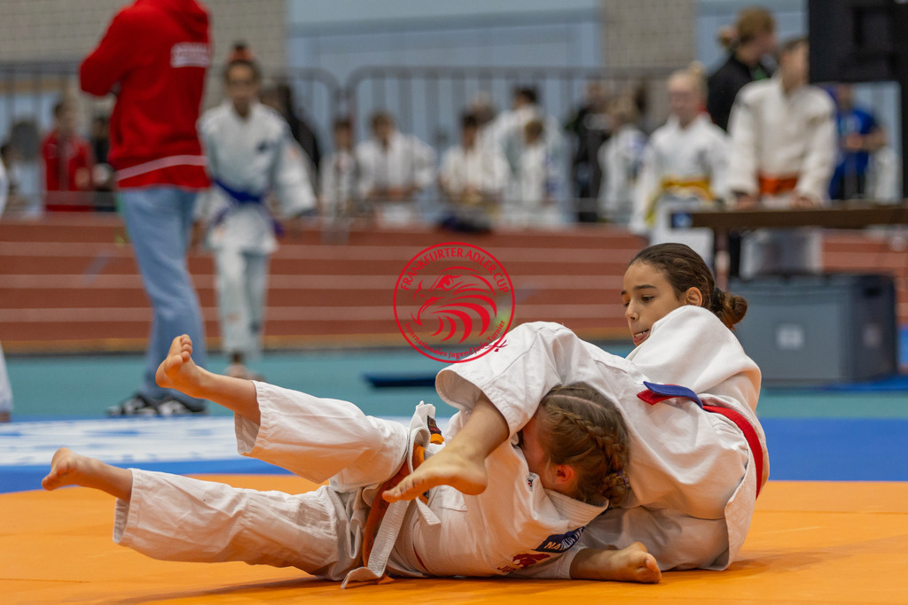 Internationaler Adler Cup 2024 | Foto vom Internationalen Adler Cup Judo Turnier im Sport- und Freizeitzentrum Kalbach im Oktober 2024 - Realisiert mit Pictrs.com