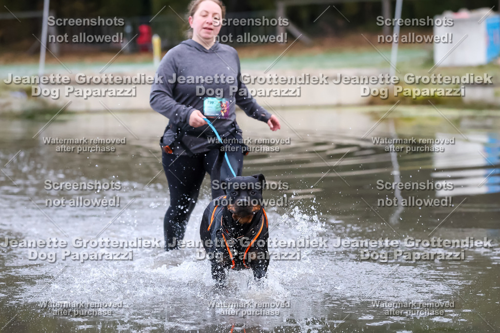 Dog Paparazzi - Strongdog 10-25-6080 | Dog Paparazzi Jeanette Grottendiek Fotografie & Videografie - Realisiert mit Pictrs.com