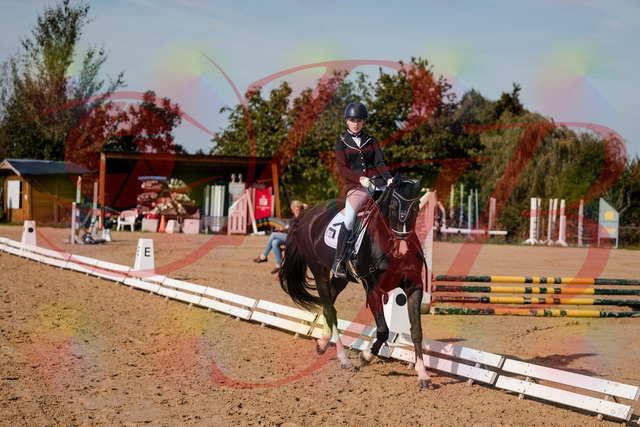 2026_10_03_Siefer-Hof_121654_Z63_40486304 | Professionelle Reitsport-, Turnier- und Eventfotografie von Robert Broda. Galerien mit ausgewählten und bearbeiteten Bildern direkt online ansehen und bestellen.