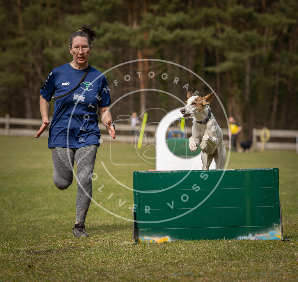 Pfotenfotografie_DV3A9035 | Hundefotografie, Tierfotograf, Pfotenfotografie, Fotoshooting Hund, Hunde Portrait, Hundesport, Hundeportraits, Heideshooting, Hunde, Sportfotograf, Hundefotograf, Turnierhundsport, THS,  - Realisiert mit Pictrs.com