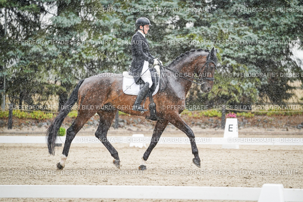 DSC08100 | Pferdegrafie