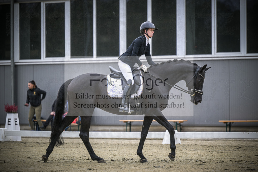 DOS_0940 | Entdecke hochwertige Reitturnierfotos von Foto Oger. Professionell, emotional und authentisch – jetzt Lieblingsmomente im Shop bestellen.Deutschlandweite Turnierfotografie. - Realisiert mit Pictrs.com