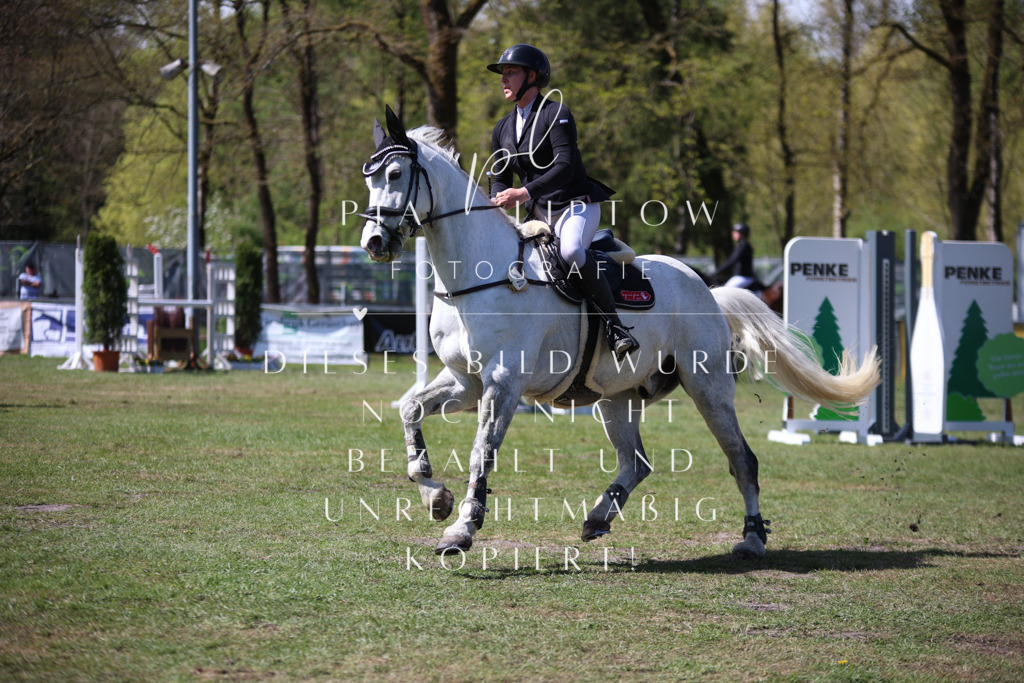 IMGT1184 | pl-fotografie