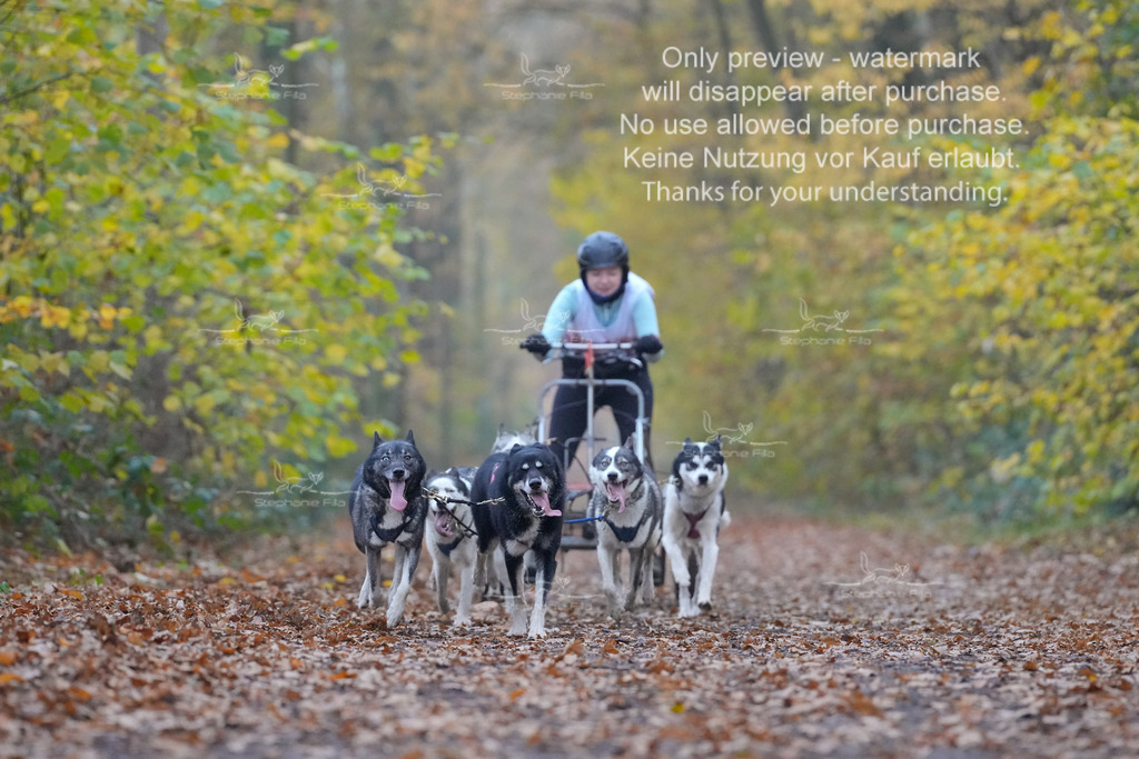 Rigs4bis8So-89 | stephaniefillaphotographie - Realisiert mit Pictrs.com