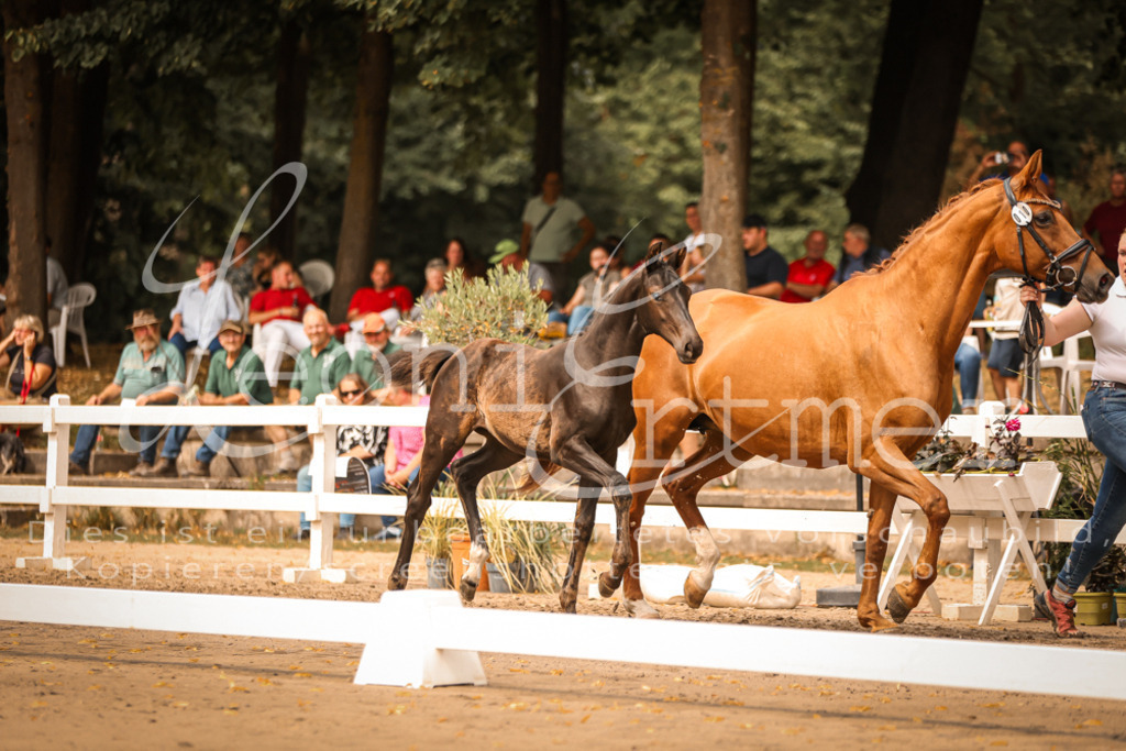 SaPA00138 | Leoni Ertmer Photography - Realisiert mit Pictrs.com