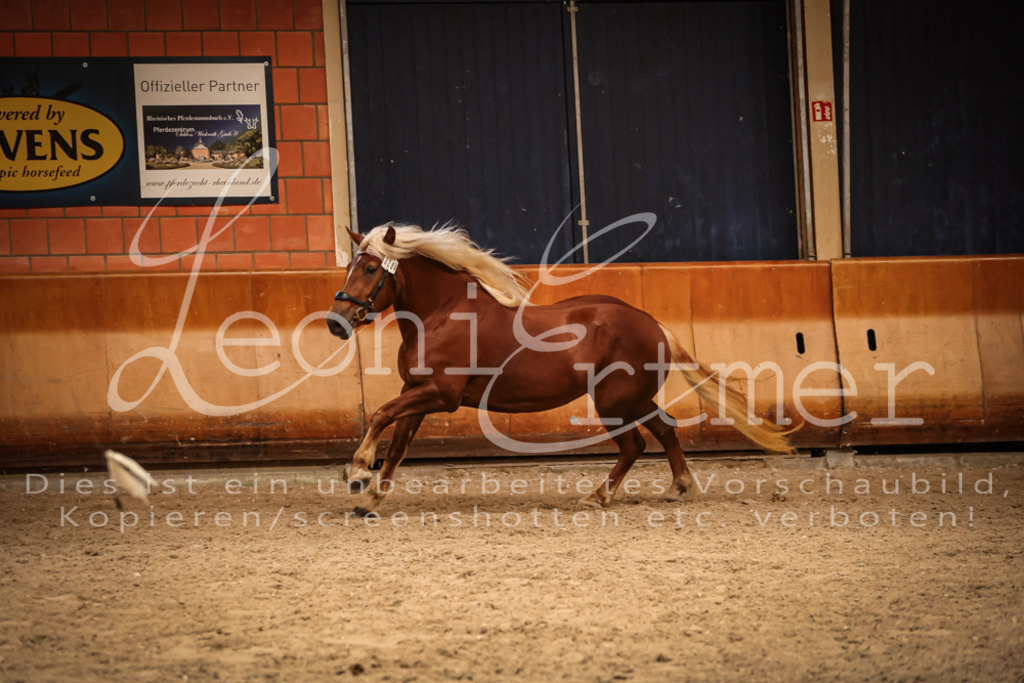 SaFL00505 | Leoni Ertmer Photography - Realisiert mit Pictrs.com