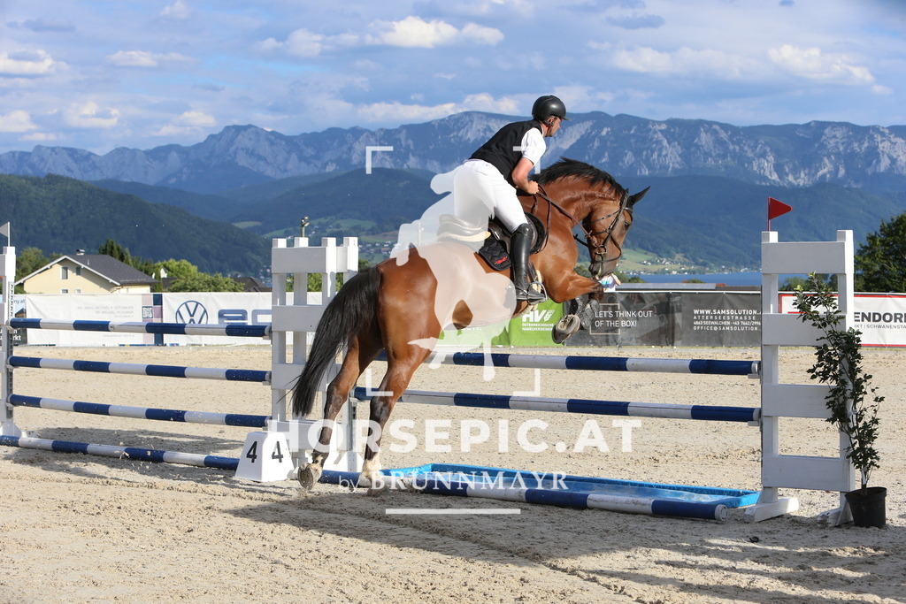 DL2Q1777 | Willkommen bei Brunnmayr - Design & Fotografie – Ihrem Spezialisten für Reitturniere und Pferdeveranstaltungen in Oberösterreich, Salzburg und Bayern! Seit über 17 Jahren sind wir leidenschaftlich dabei.