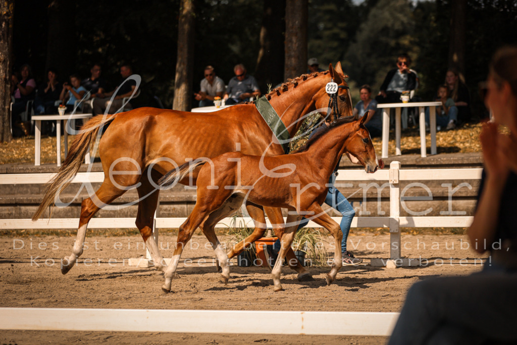 07.DoWBS00147 | Leoni Ertmer Photography - Realisiert mit Pictrs.com