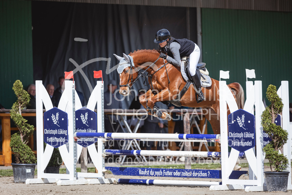 250419_Frühlingsfest_A-Stil1-479 | Deine schönsten Turniermomente als professionelle Fotos! Entdecke hochwertige Pferdesport-Fotografie im Online-Shop. Jetzt Fotos finden & bestellen!