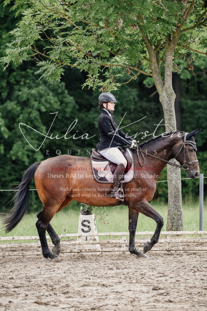 DSC_0730 | Pferde- und Turnierfotografie in Westsachsen. Pferdeportraits, Auftragszeichnungen und intuitive Kunst.