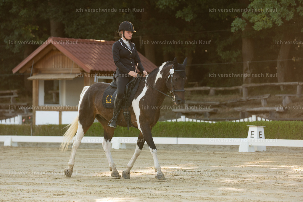 WA_DR_115_SinaFilmArt_IN00121 | working equitationturnier fotograf videograf stoibphotography marixx film working equitation deutschland reitsport turnierfotografie eventfotografie equestrian events