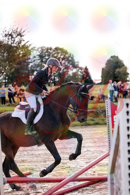 2026_10_03_Siefer-Hof_144014_Z81_10953172 | Professionelle Reitsport-, Turnier- und Eventfotografie von Robert Broda. Galerien mit ausgewählten und bearbeiteten Bildern direkt online ansehen und bestellen.