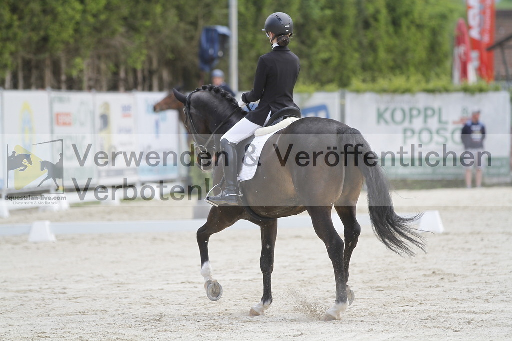 _MG_8376 | equestrian-live-com