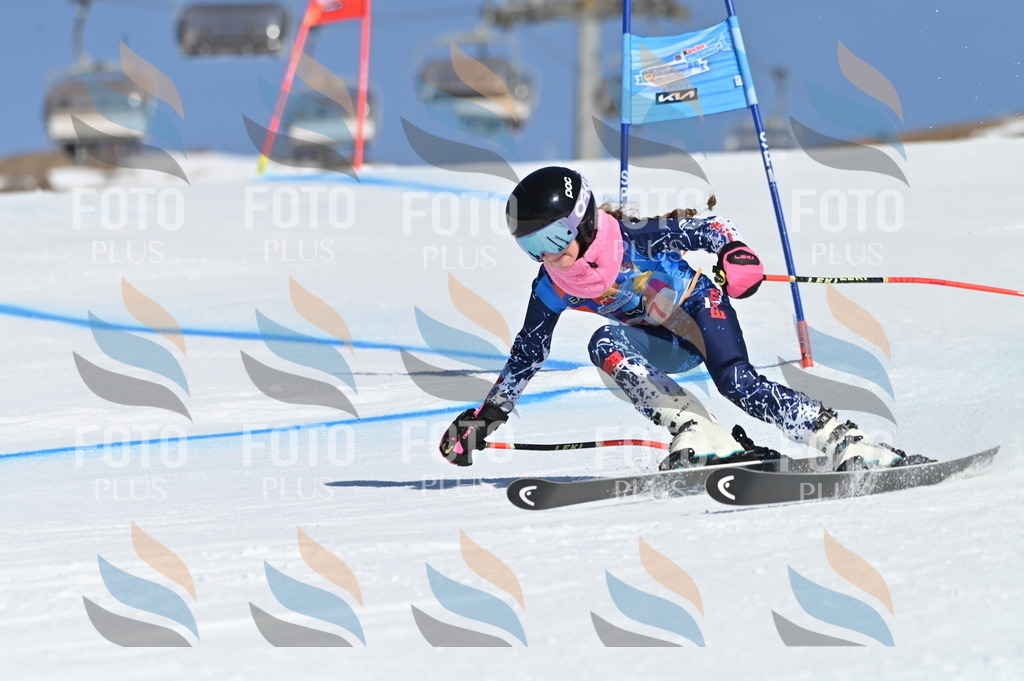 BGV_7901 | holidayphoto