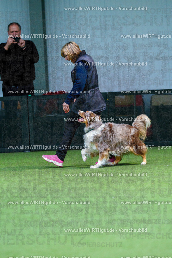 7R506376 | Professionelle Tierfotografie in Mönchengladbach von Daniel Wirth (allesWIRTHgut). Liebevolle & natürliche Bilder von Hunden & Katzen für unvergessliche Erinnerungen.