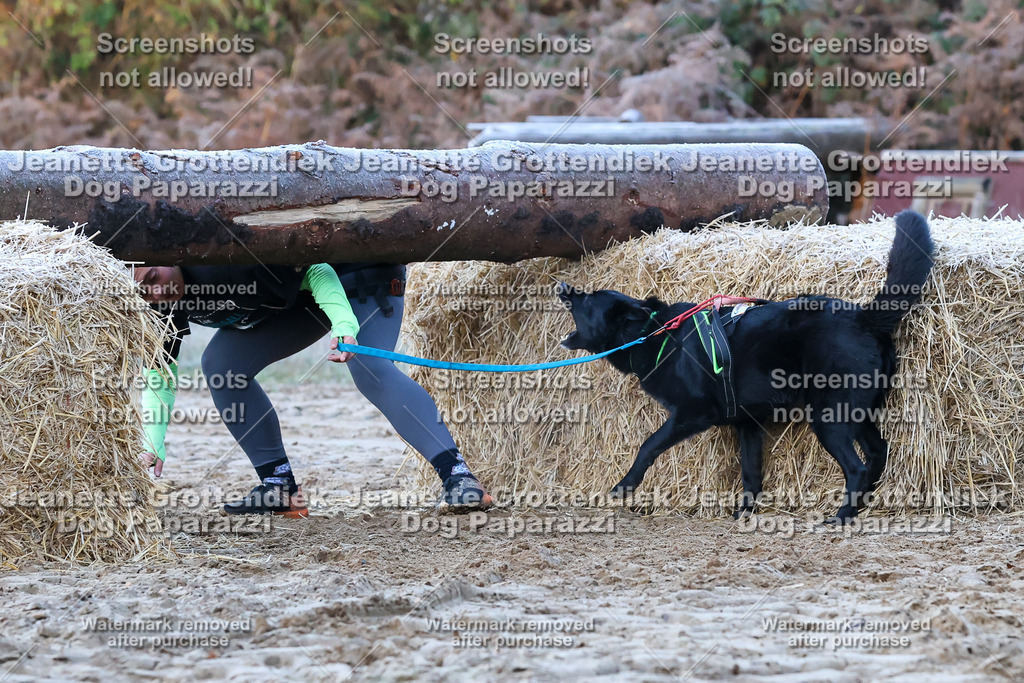 Dog Paparazzi - Strongdog 10-25-211 | Dog Paparazzi Jeanette Grottendiek Fotografie & Videografie - Realisiert mit Pictrs.com