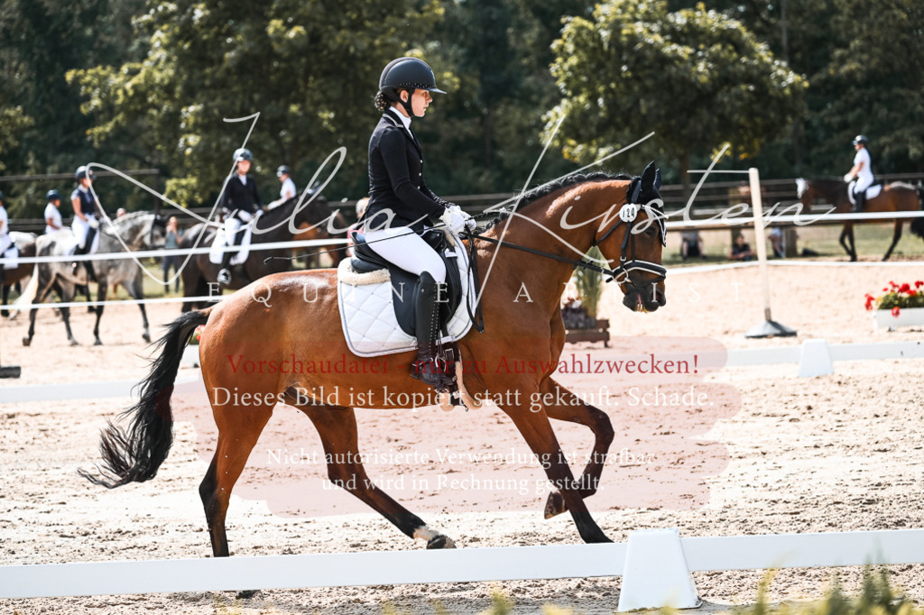 DSC_5162 | Pferde- und Turnierfotografie in Westsachsen. Pferdeportraits, Auftragszeichnungen und intuitive Kunst.