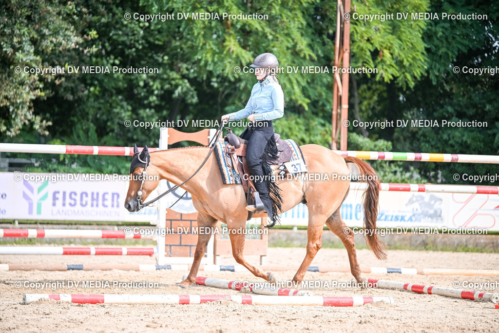 ZS2_3547 | dv-media-shop - Realisiert mit Pictrs.com