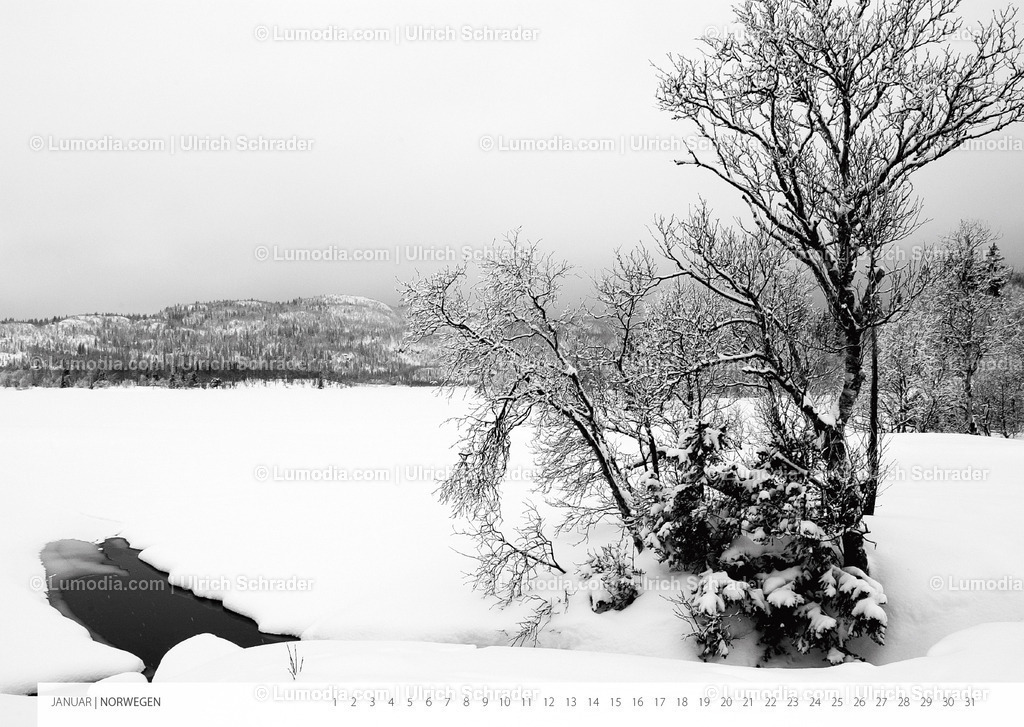 Kalender_Ausstellung_Landschaften-2 | Stockfoto und Bilderpool mit Bildmaterial aus Deutschland, dem Harz, Halberstadt, Quedlinburg, Wernigerode und weltweit. Qualitativ hochwertige und professionelle Fotos anschauen und kaufen. - Realisiert mit Pictrs.com