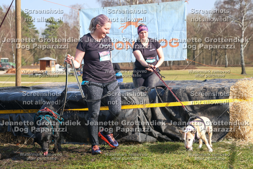 Dog Paparazzi - Strongdog North Mrz26-2512 | Dog Paparazzi Jeanette Grottendiek Fotografie & Videografie - Realisiert mit Pictrs.com