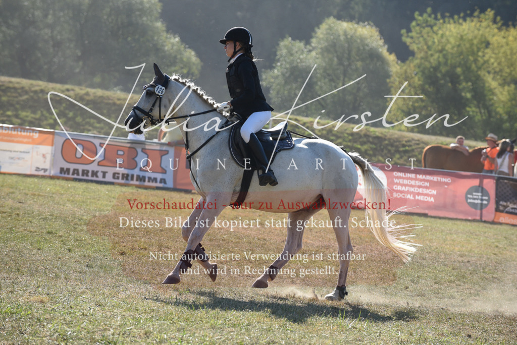 DSC_5854 | Pferde- und Turnierfotografie in Westsachsen. Pferdeportraits, Auftragszeichnungen und intuitive Kunst.