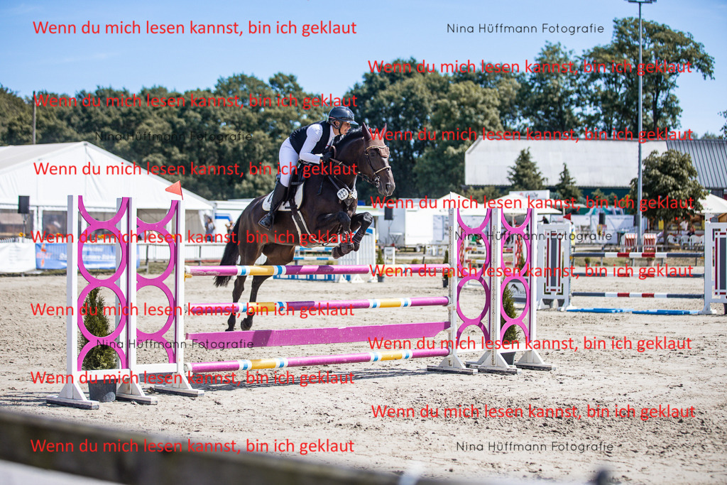 BK1A6499 | Turnierbilder Turnierfotos Nina Hüffmann Turnierfotografie Pferdefotografie Tierzeichnung Haustierzeichnung Pferdezeichnung Hundezeichnung Videograf  - Realisiert mit Pictrs.com