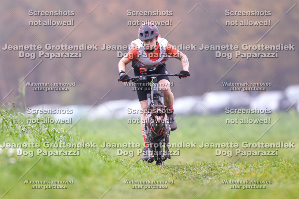 Dog Paparazzi - Visbeck 25 -154 | Dog Paparazzi Jeanette Grottendiek Fotografie & Videografie - Realisiert mit Pictrs.com