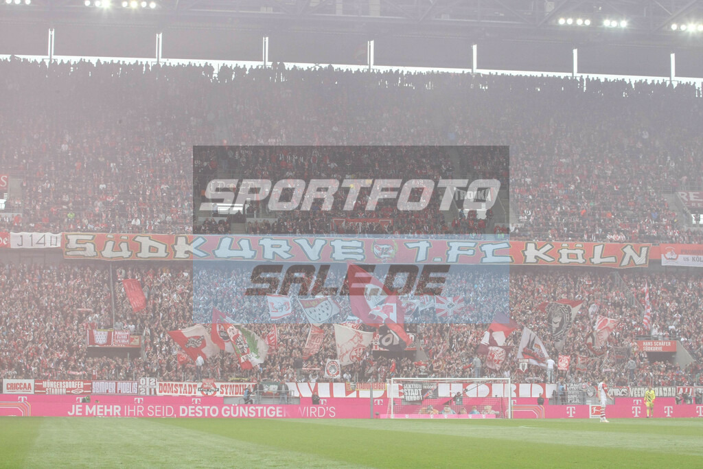 1. FC Köln - SC Freiburg | Südkurve - © Sportfoto-Sale (MK) - Realisiert mit Pictrs.com