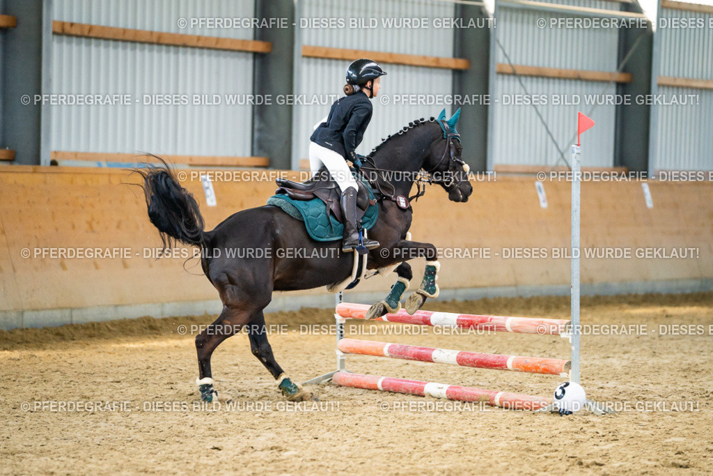 DSC00984 | Pferdegrafie