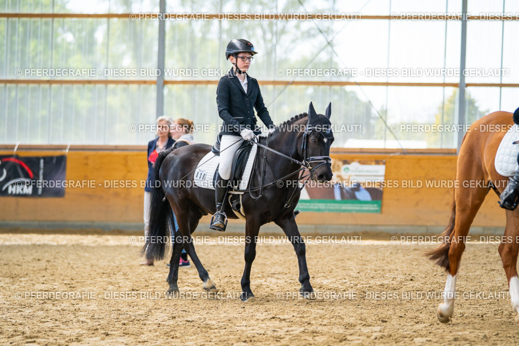 DSC01321 | Pferdegrafie