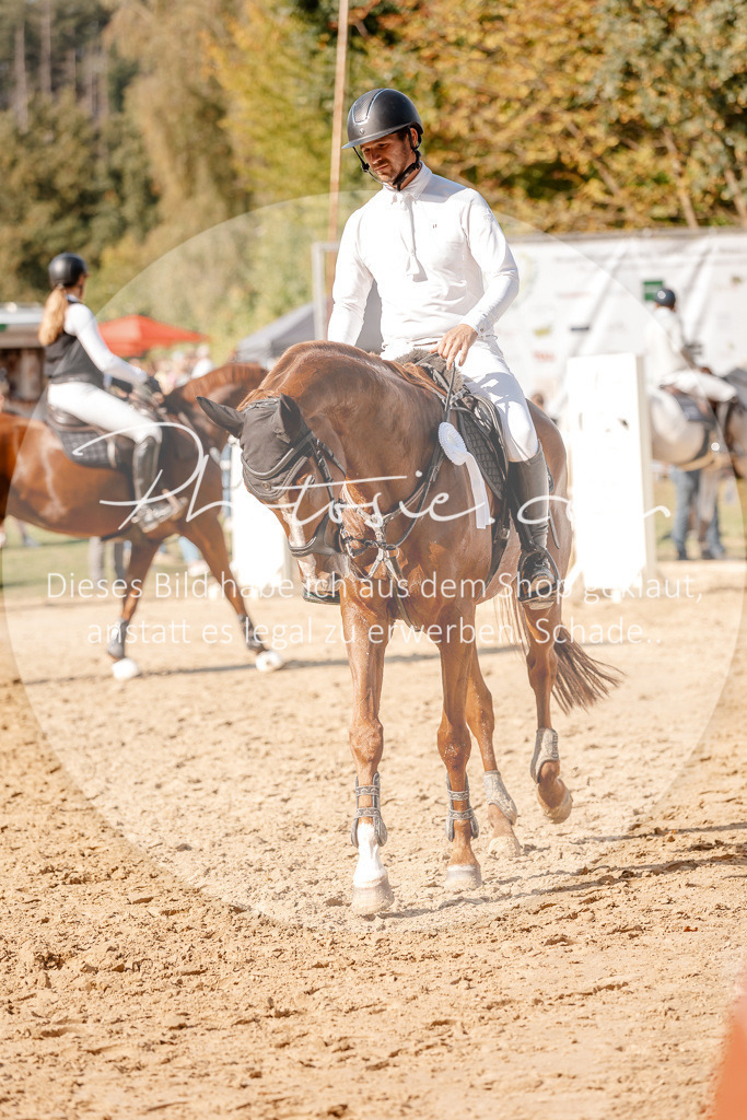 3I6A4685 | Stimmungsvolle Portraits und Reitsportfotografie im Ruhrgebiet und im Münsterland.

Pferdefotografie, Hundefotografie, Tierfotografie, Reportagen, Portraits von Tier und Mensch, Turnierfotografie in Bochum, Recklinghausen, Marl, Haltern am See, Dülmen.. - Realisiert mit Pictrs.com