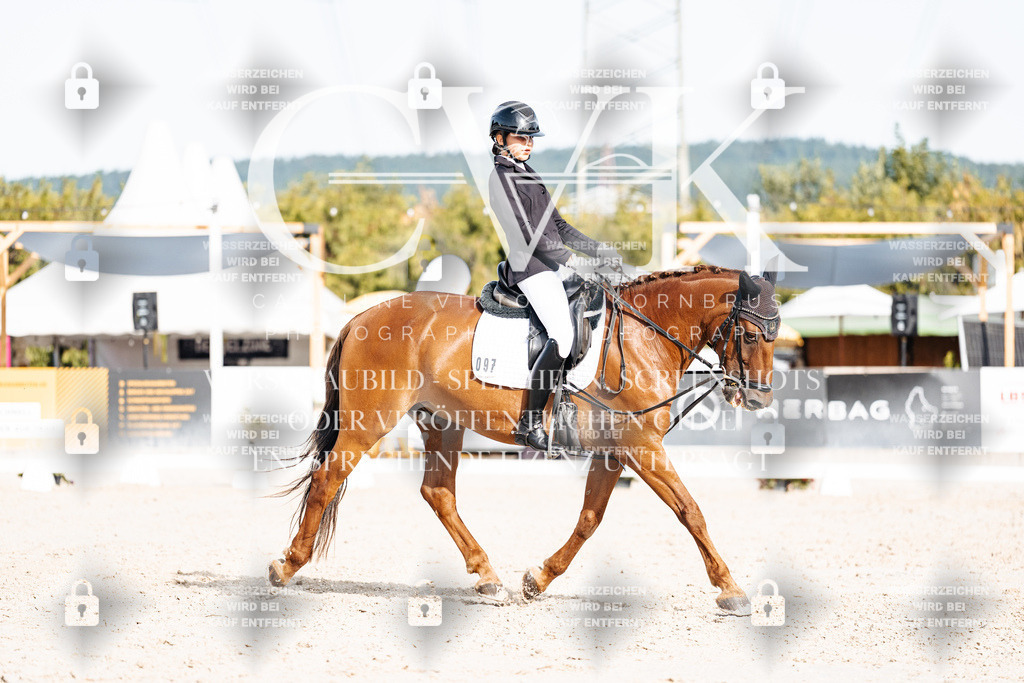 CK905151 | Turnierfotografie Pferdefotografie Trier Rheinland-Pfalz Pferdesport Reitsport Tierfotografie Sportfotografie Pferdevideo Pferdevideografie Equestrianvideography equestrianphotography  - Realisiert mit Pictrs.com