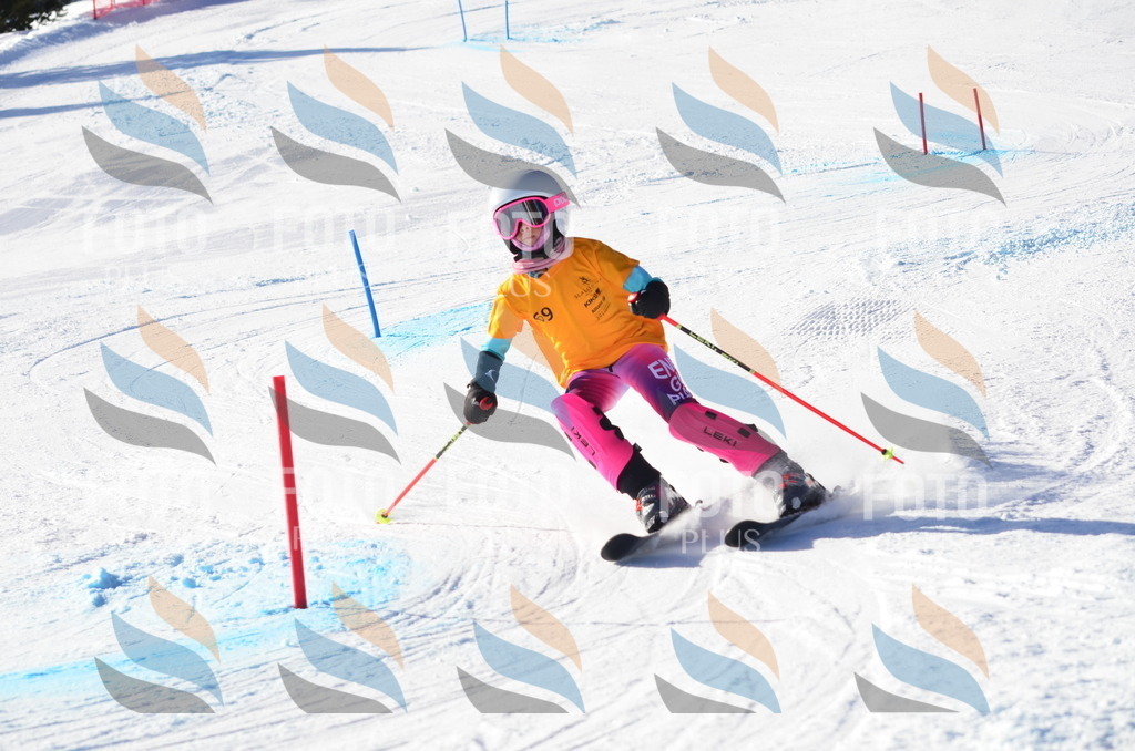 C5870 | holidayphoto