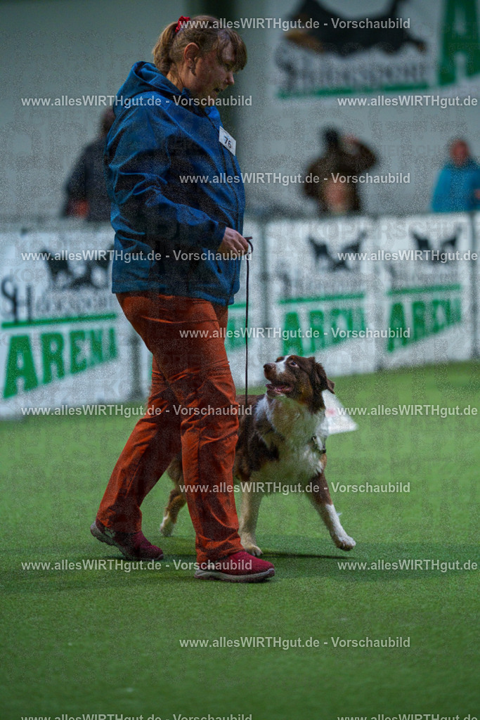 7R502925 | Professionelle Tierfotografie in Mönchengladbach von Daniel Wirth (allesWIRTHgut). Liebevolle & natürliche Bilder von Hunden & Katzen für unvergessliche Erinnerungen.