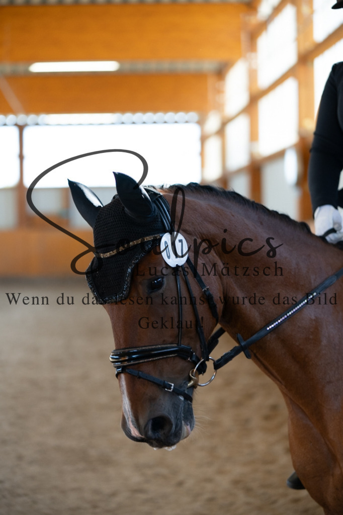 A7V01786 | Turnier/Reitfotograf