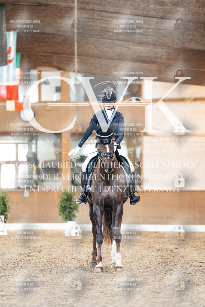 CK906798 | Turnierfotografie Pferdefotografie Trier Rheinland-Pfalz Pferdesport Reitsport Tierfotografie Sportfotografie Pferdevideo Pferdevideografie Equestrianvideography equestrianphotography  - Realisiert mit Pictrs.com
