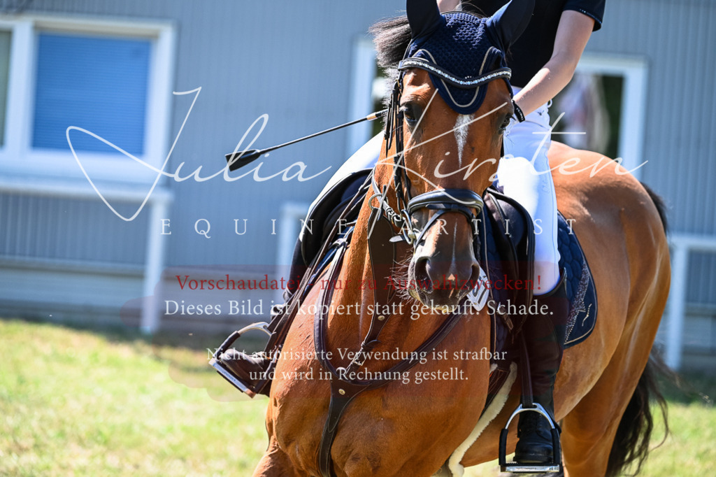DSC_1450 | Pferde- und Turnierfotografie in Westsachsen. Pferdeportraits, Auftragszeichnungen und intuitive Kunst.