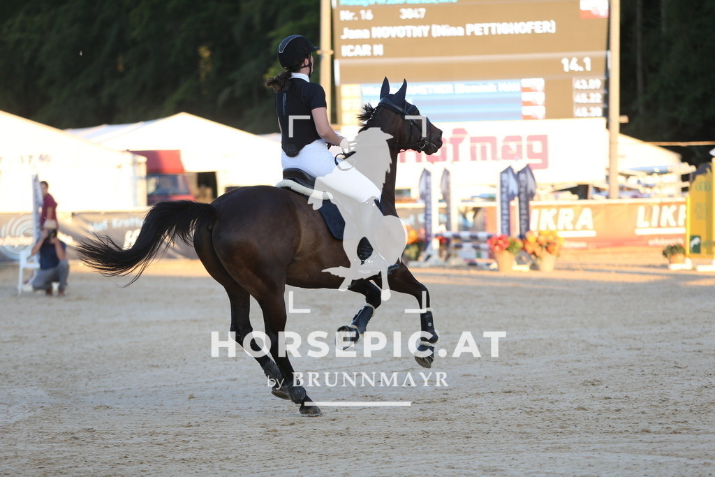 DL2Q7442 | Willkommen bei Brunnmayr - Design & Fotografie – Ihrem Spezialisten für Reitturniere und Pferdeveranstaltungen in Oberösterreich, Salzburg und Bayern! Seit über 17 Jahren sind wir leidenschaftlich dabei.