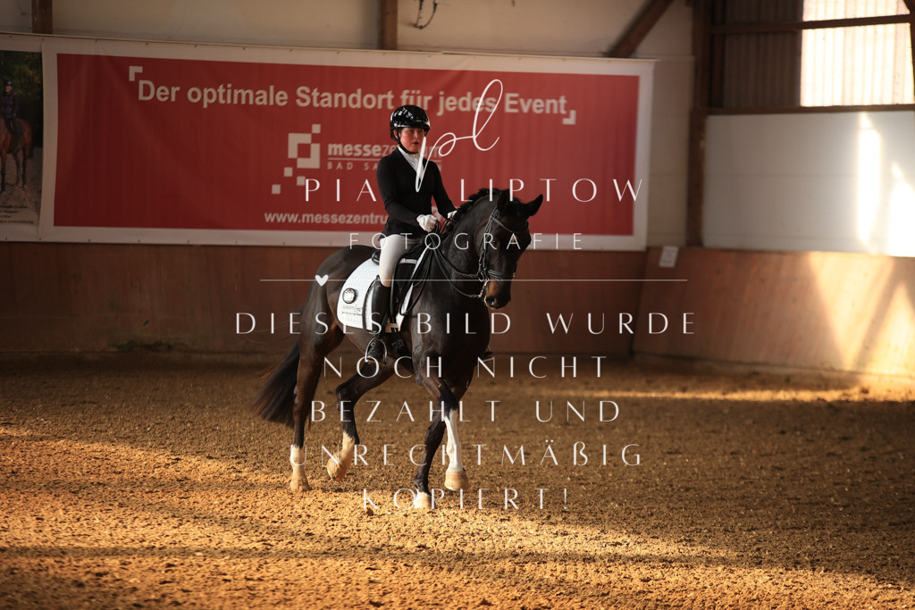 IMGT0619 | pl-fotografie