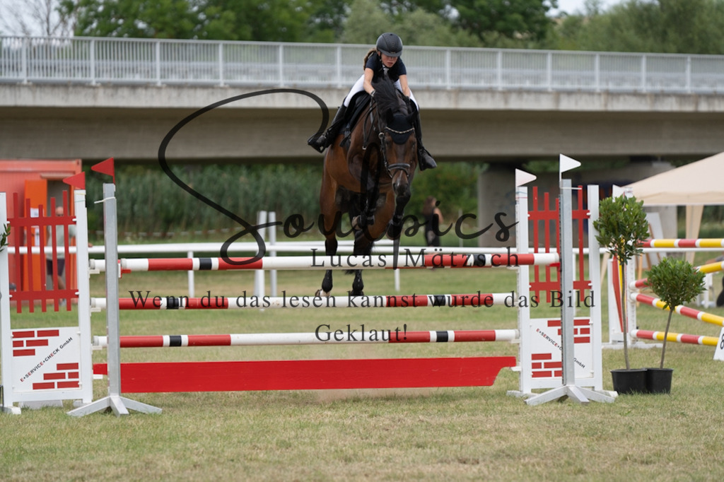 A7V02325 | Pferdefotograf